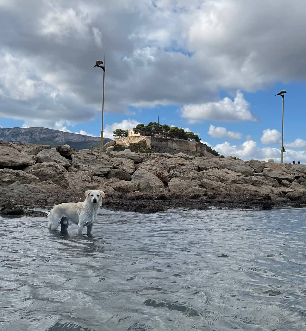 Watersports Hub