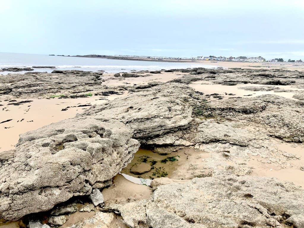 Coastal Path Views