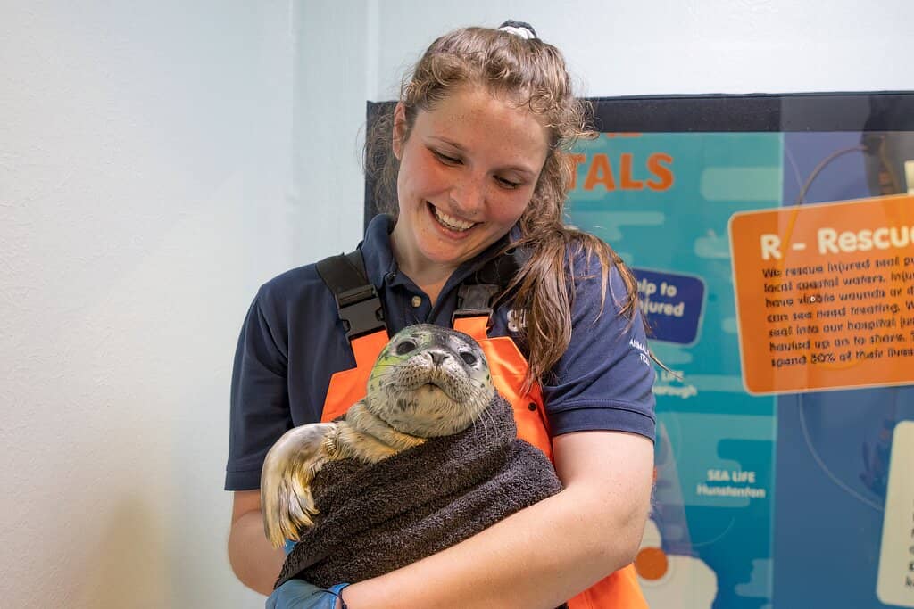 Otter Exhibit