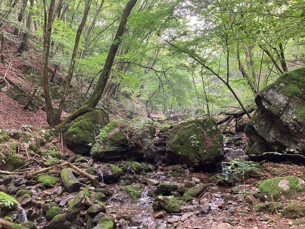 Mt. Mitake Autumn Colors
