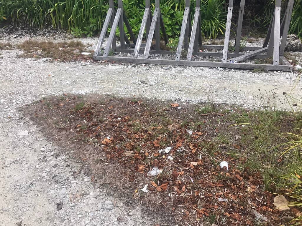 Snorkeling at Kootey