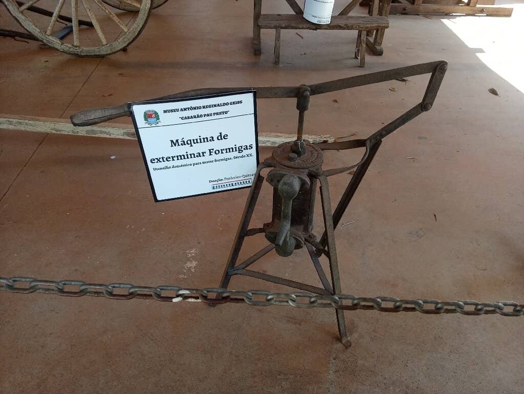 Enchanting Bosque and Gardens