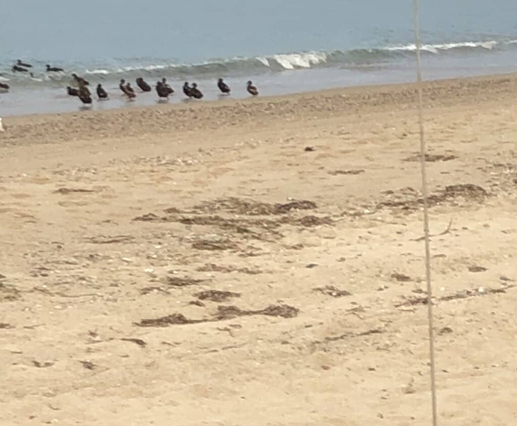 Secluded Beaches