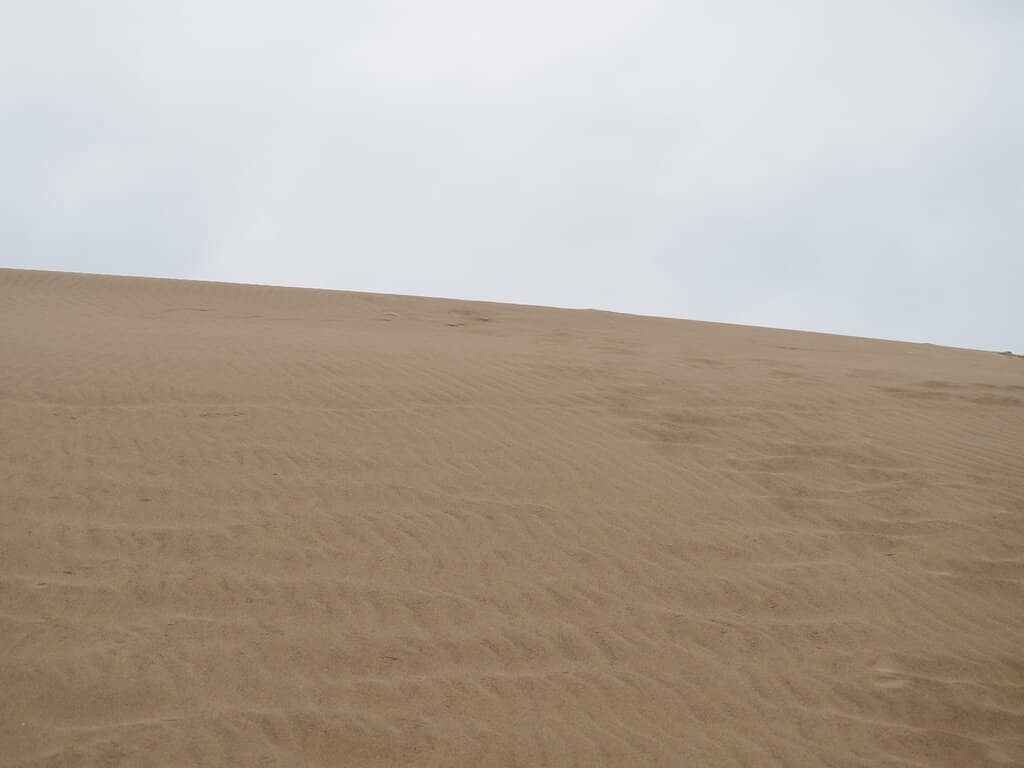 The Sand Museum