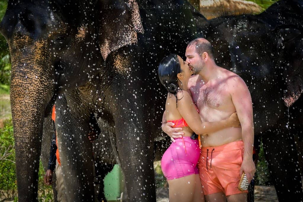 Learn About Elephant Welfare