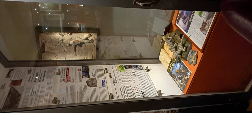 Interactive Treasure Hunt
