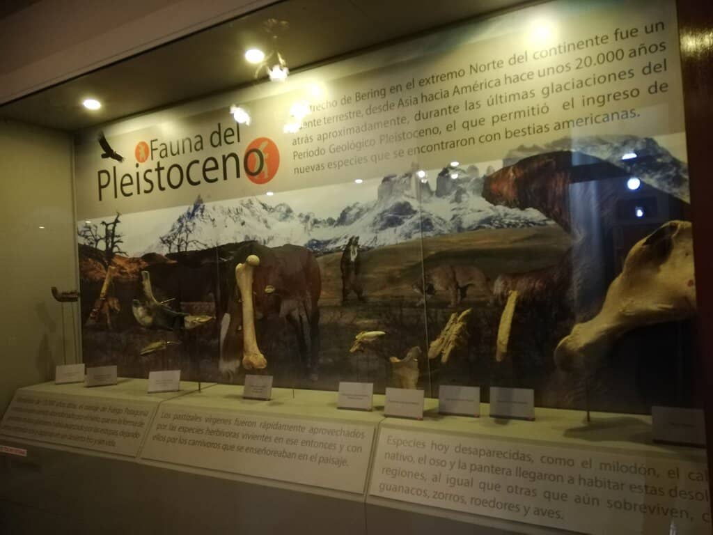 Magallanes Era Exhibits