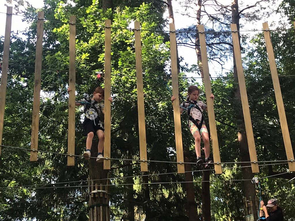 Tree Top Challenge