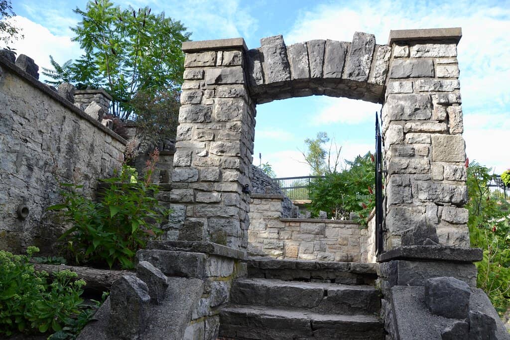 Vibrant Floral Displays