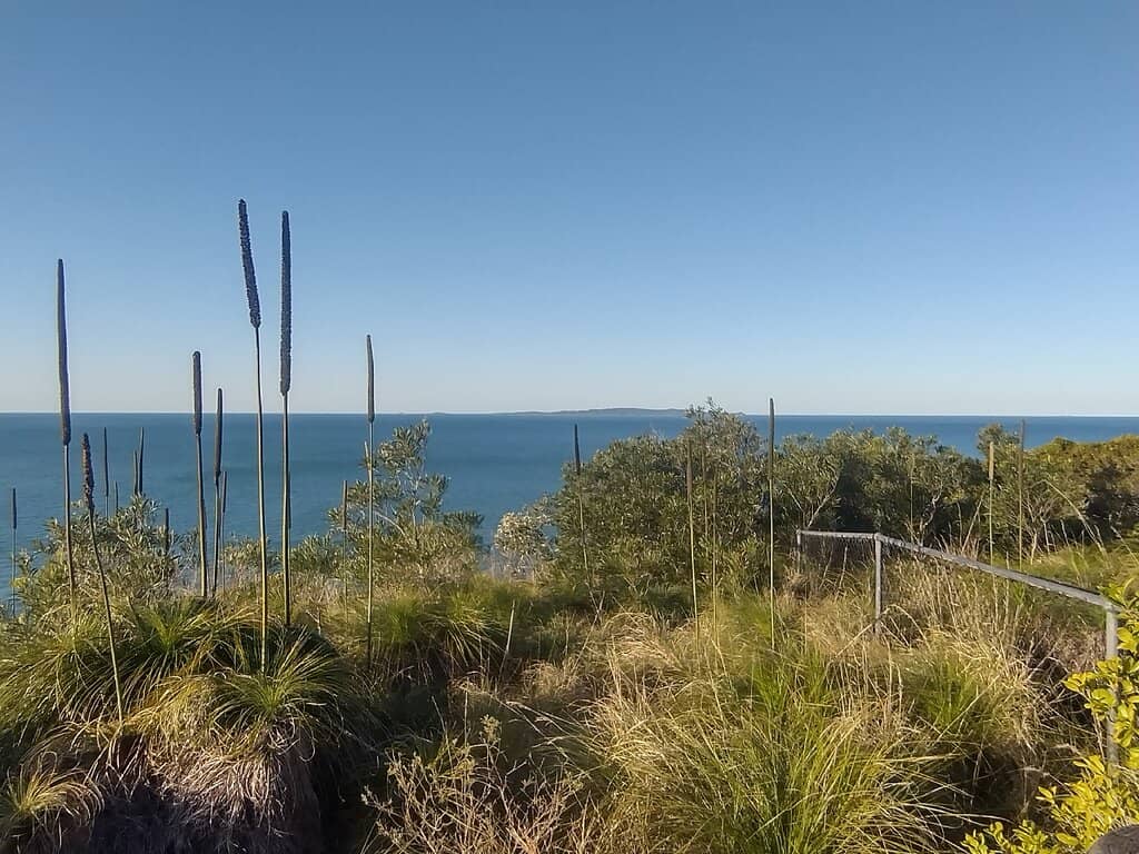 Roselyn Harbour Sunrise