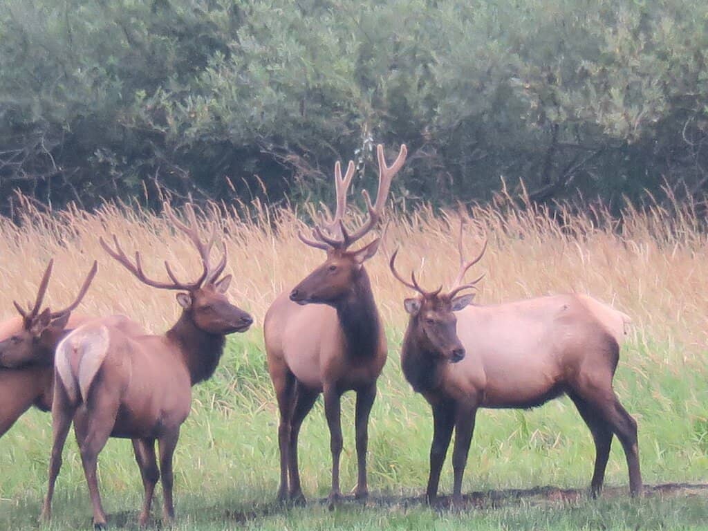 Informative Educational Displays