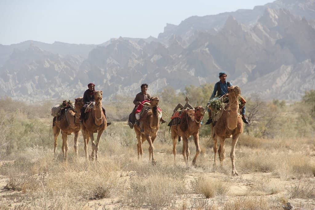 Crystal-Clear Waters