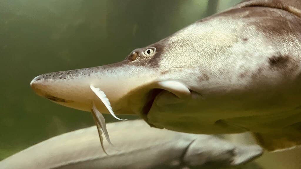 Fisherman's Life Exhibition