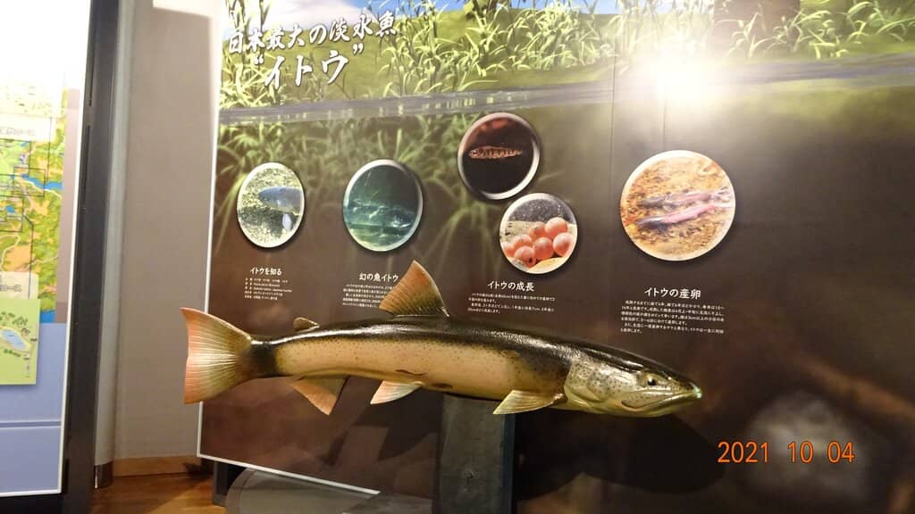 Marsh Observatory Rooftop