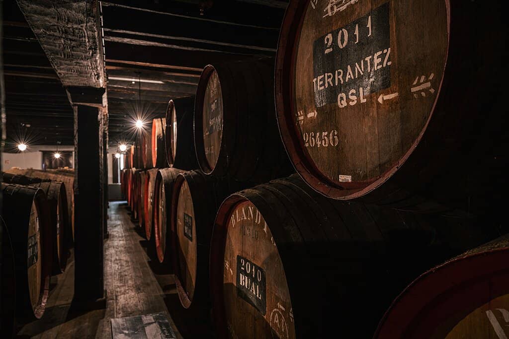 Vintage Tour Experience