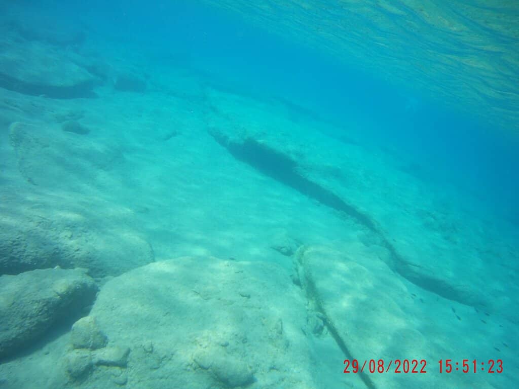 Tranquil Coastal Walk