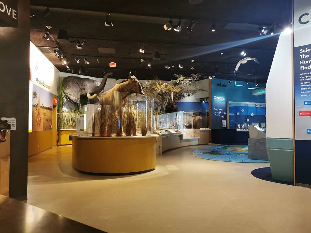 Global Journey Galleries