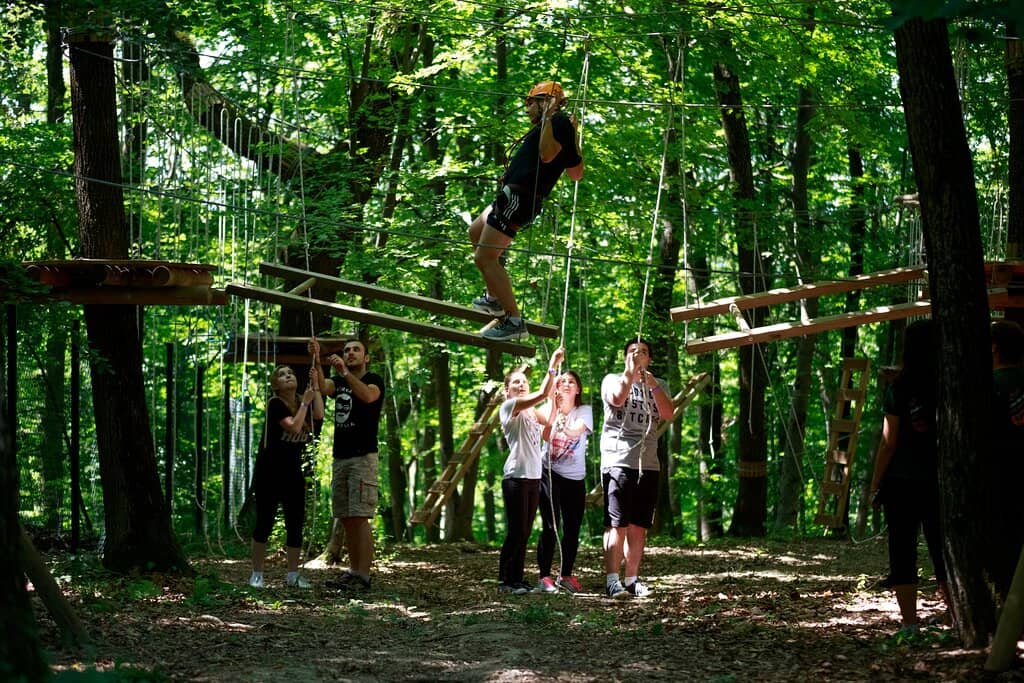 Thrilling Zip Lines