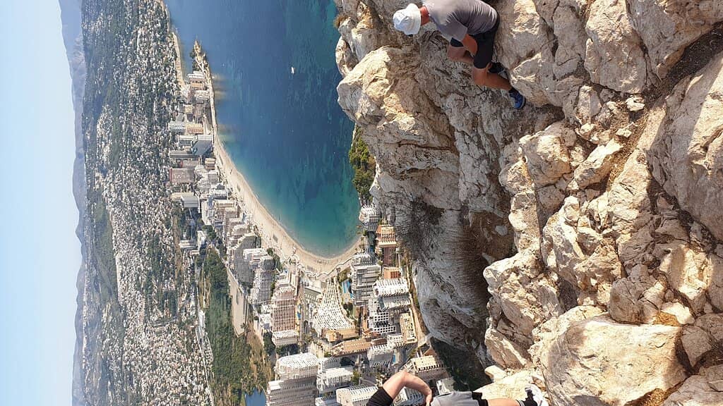Vertical photo
