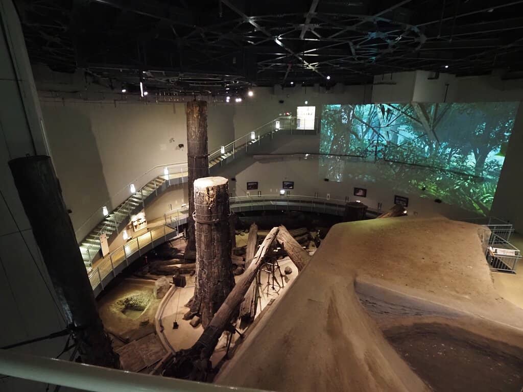 Engineering Excavation Display