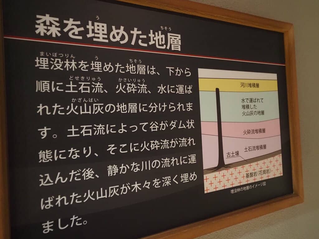 Geological and Historical Insights