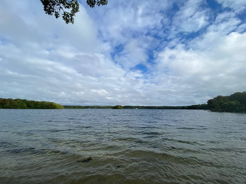 Vertical photo