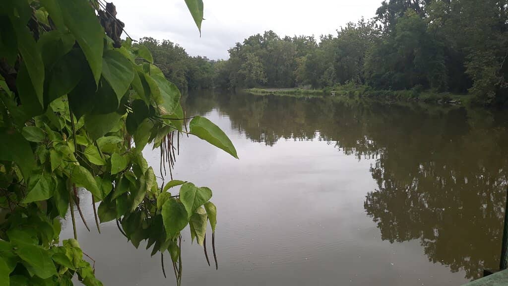 Fantastic Playground