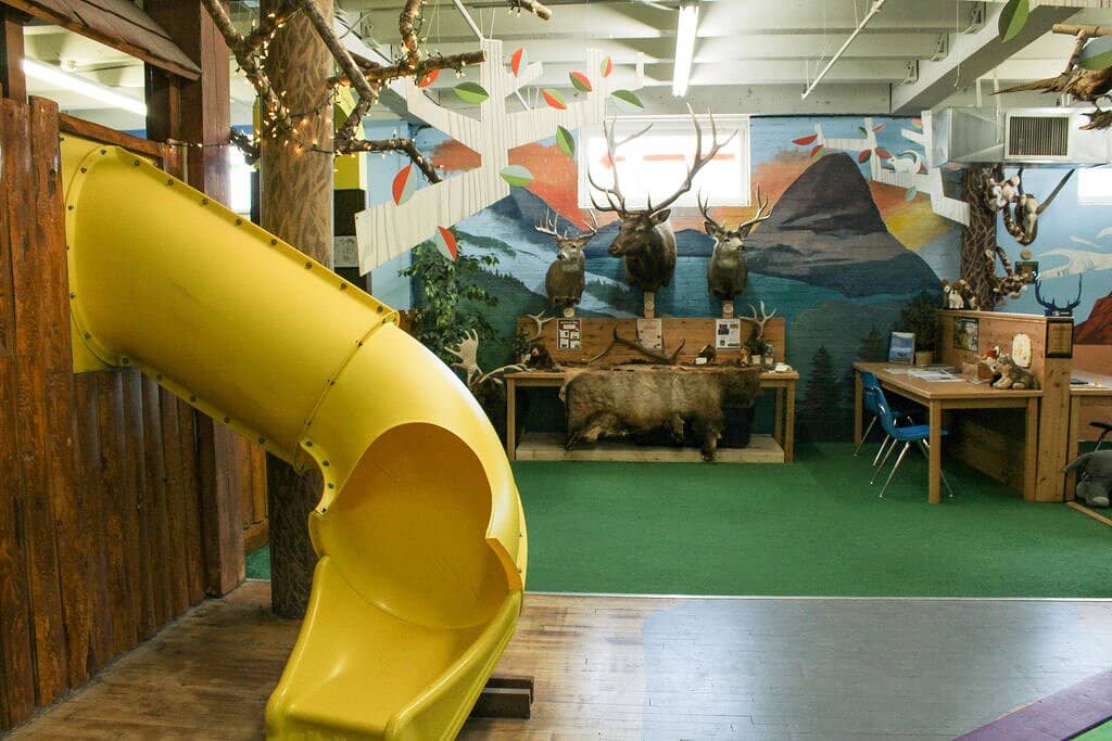 Real Aircraft Cockpit