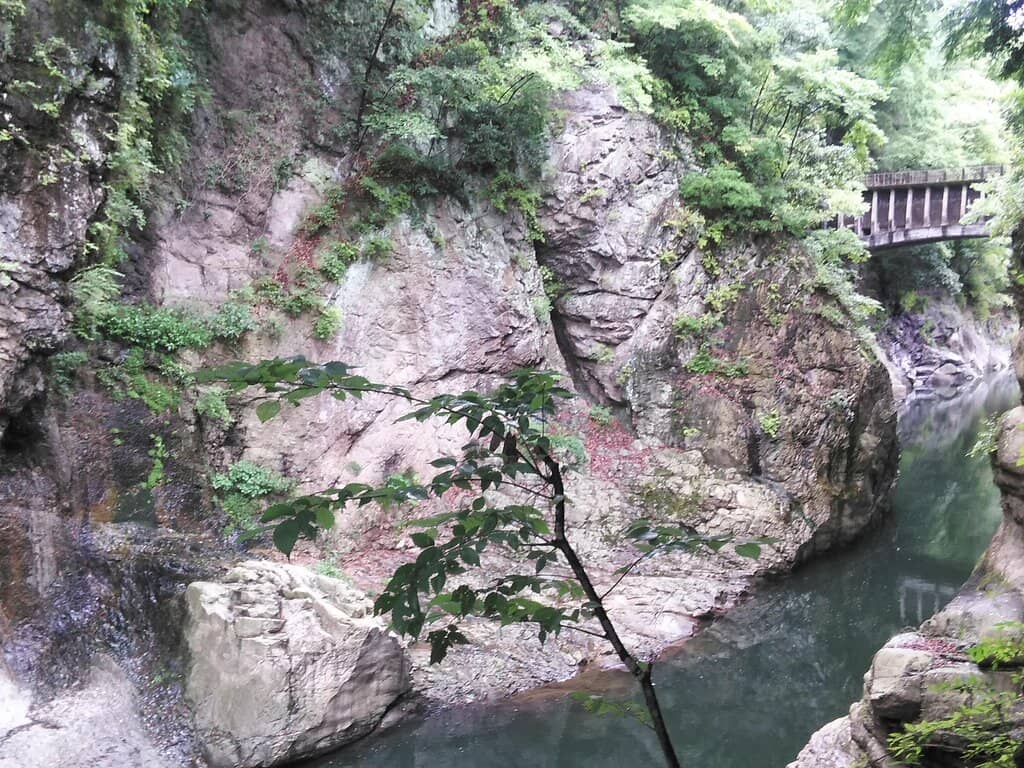 Vertical photo