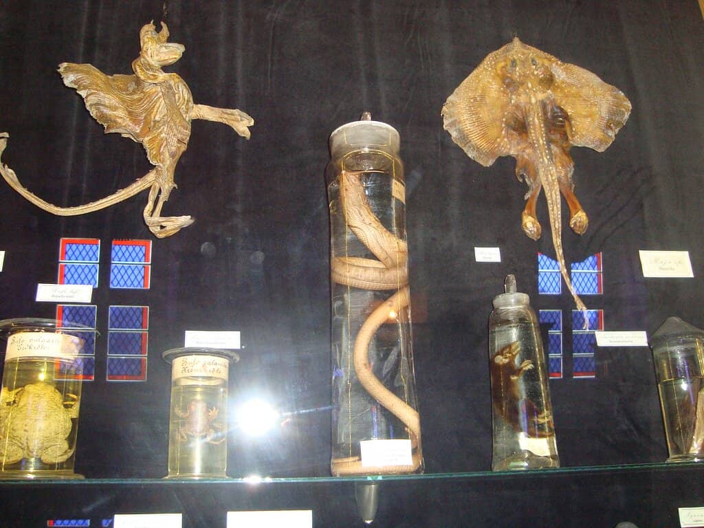 Historical Monastery Setting