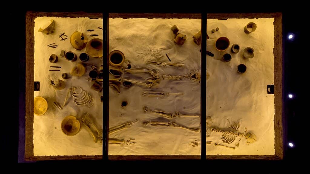 Preserved Maya Mounds