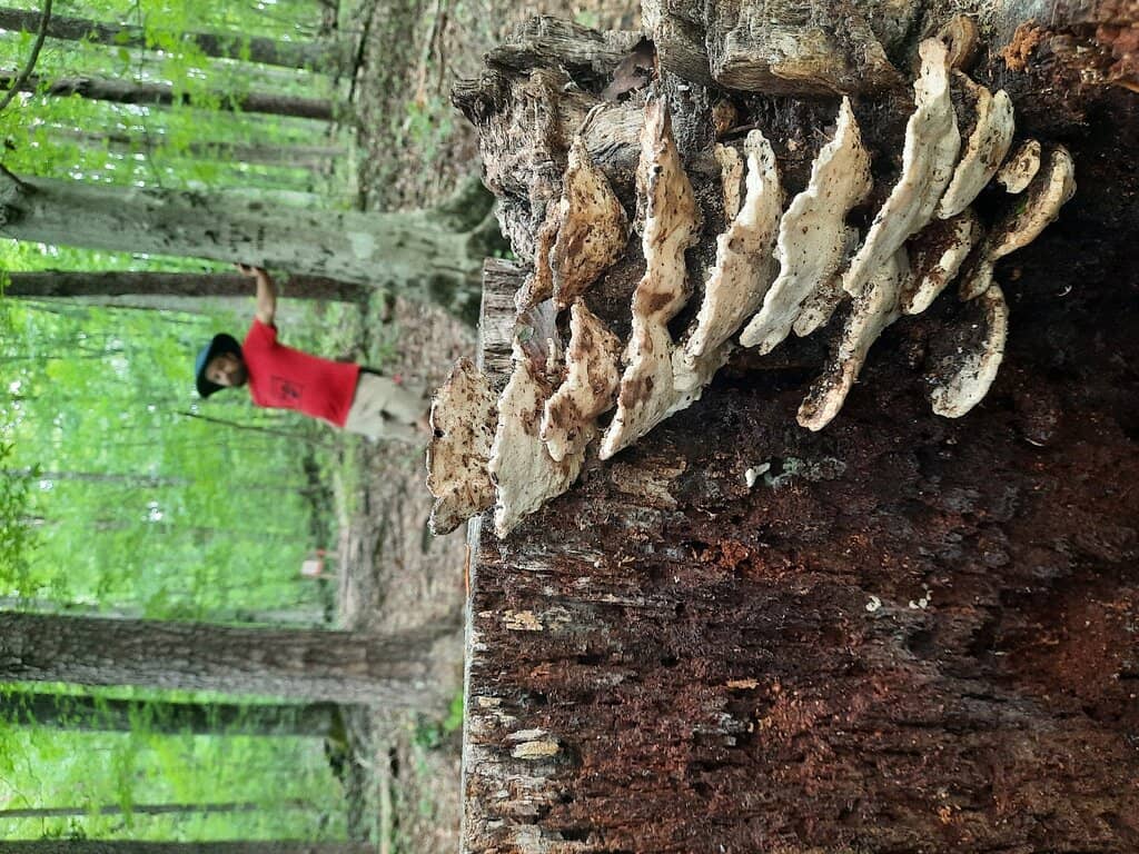 Vertical photo