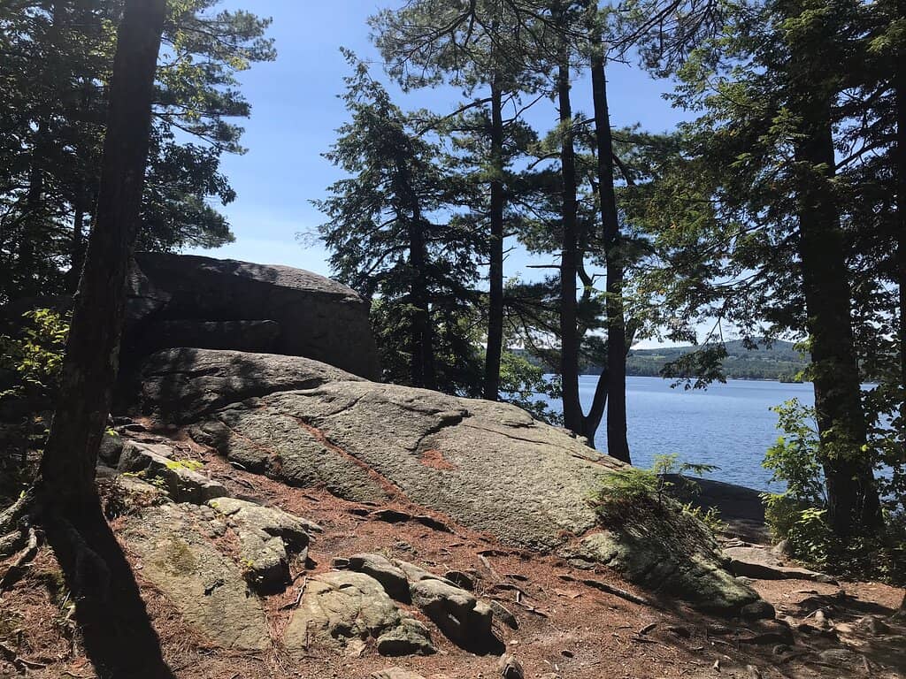Vertical photo