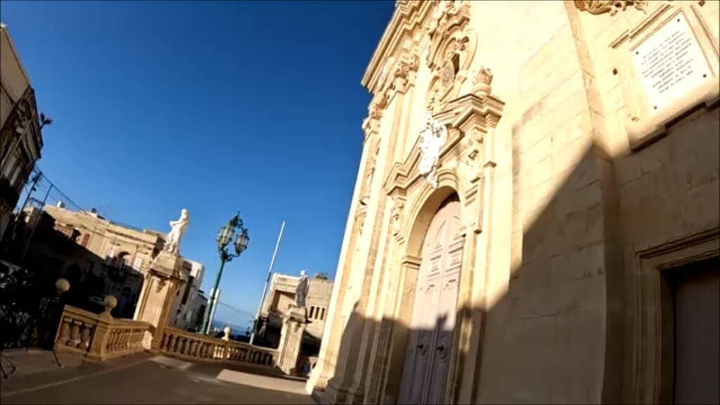 Bat Spotting at Dusk