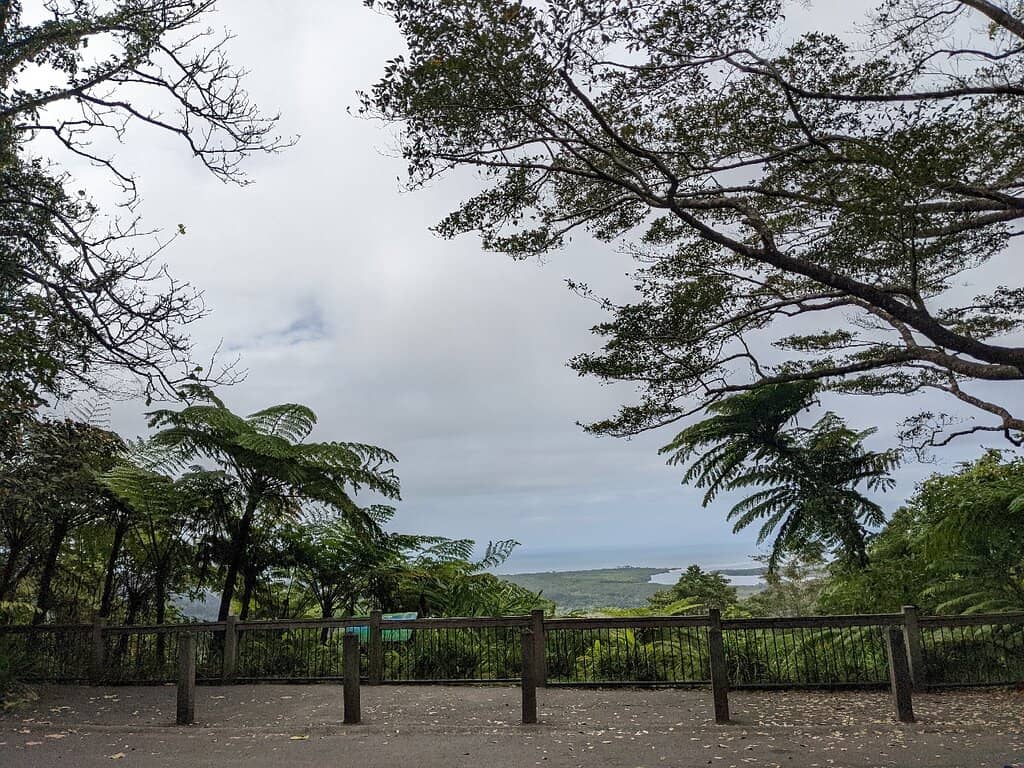 Rainforest Meets Reef Vista