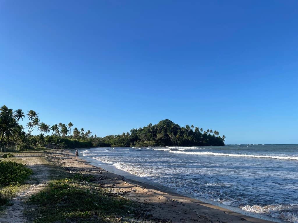 Turtle Nesting Sites