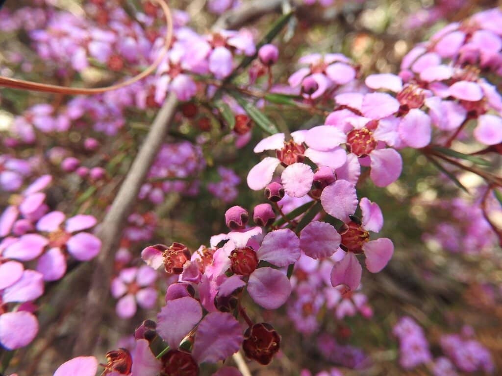 Coastal Estuary & Swimming Holes