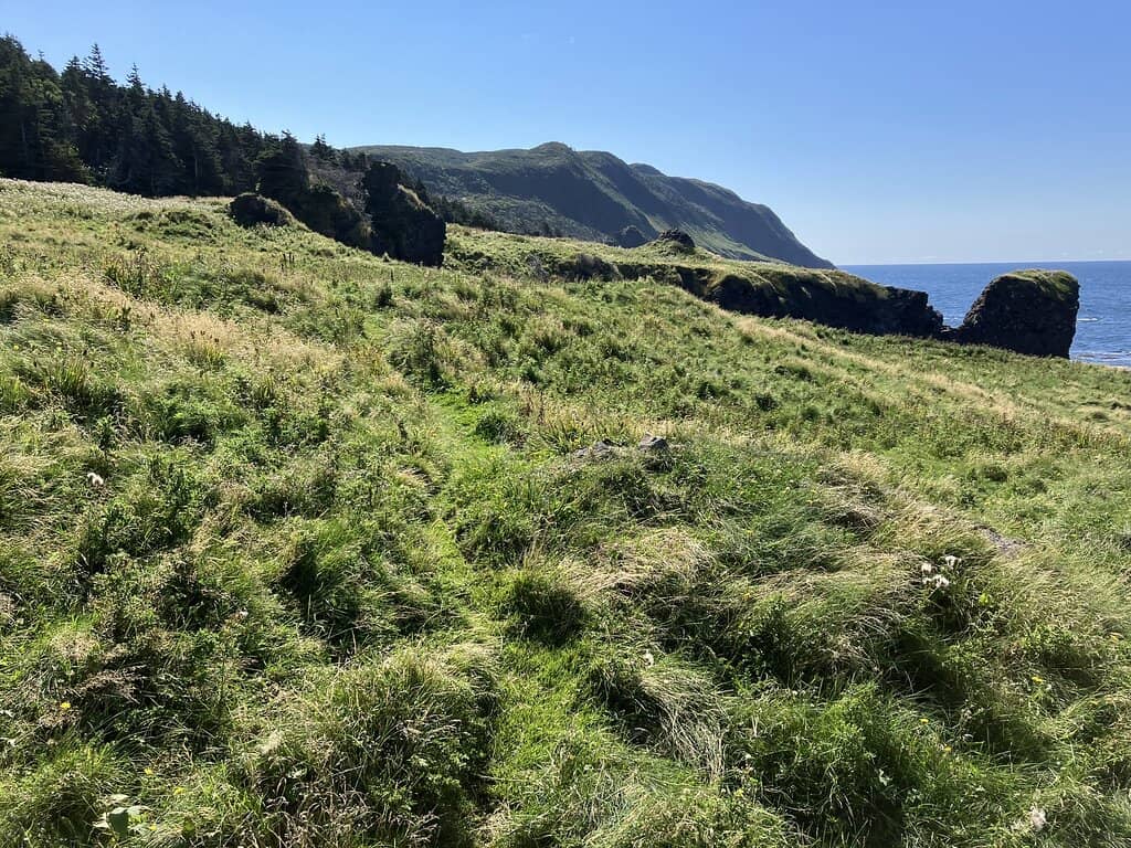 Diverse Biomes