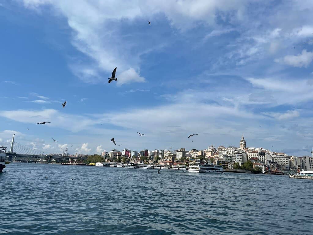 Vertical photo
