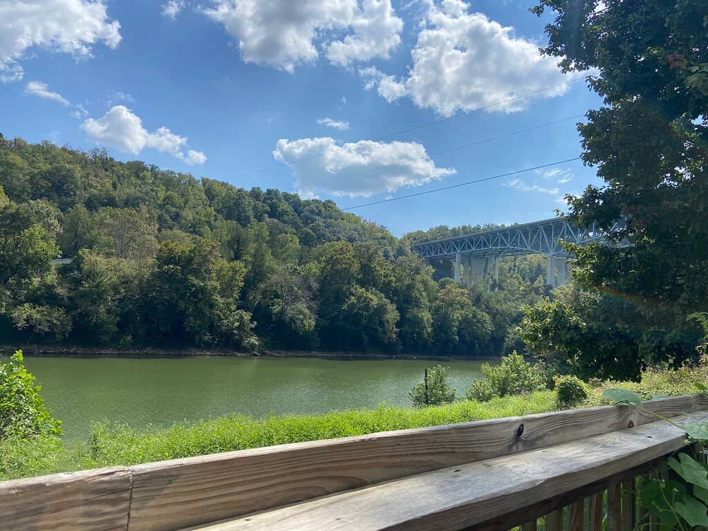 Pet-Friendly Outdoor Oasis