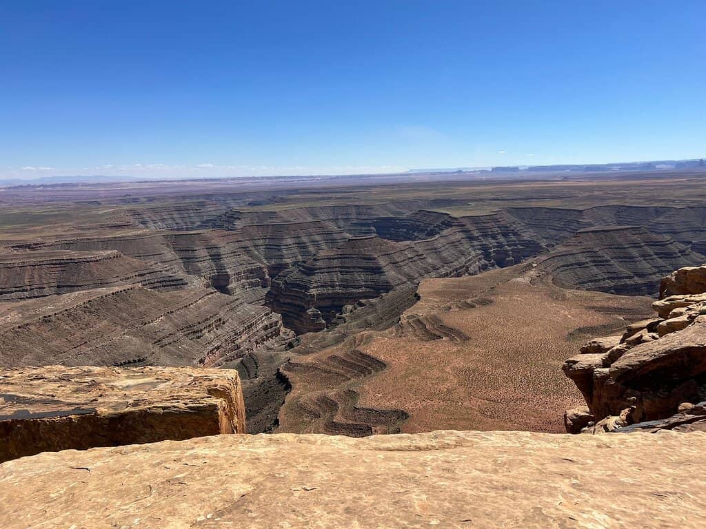 Well-Maintained Gardens