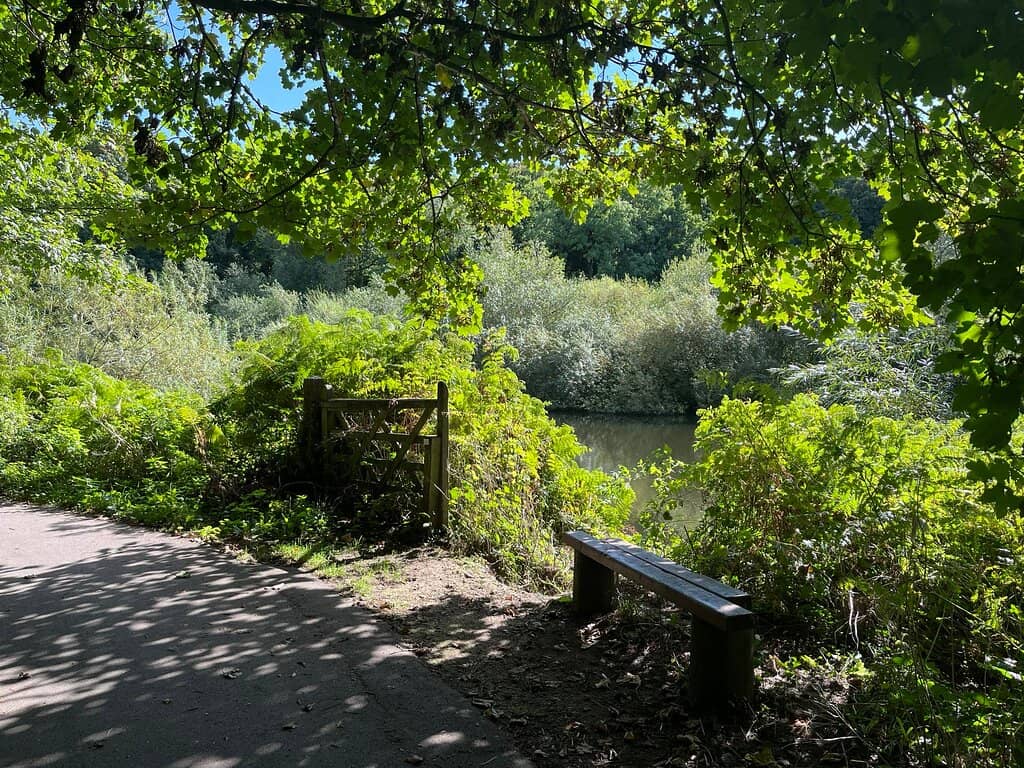 Woodland Trails