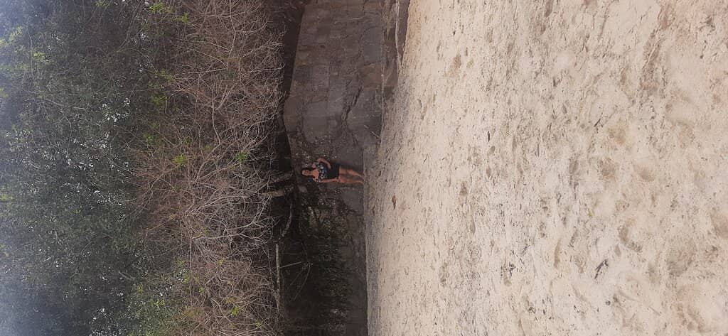 Vertical photo