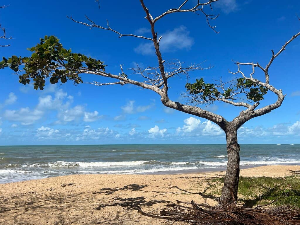 Tranquil Sands
