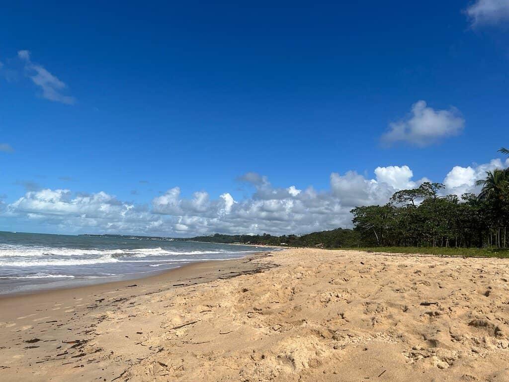 Beachside Kiosks