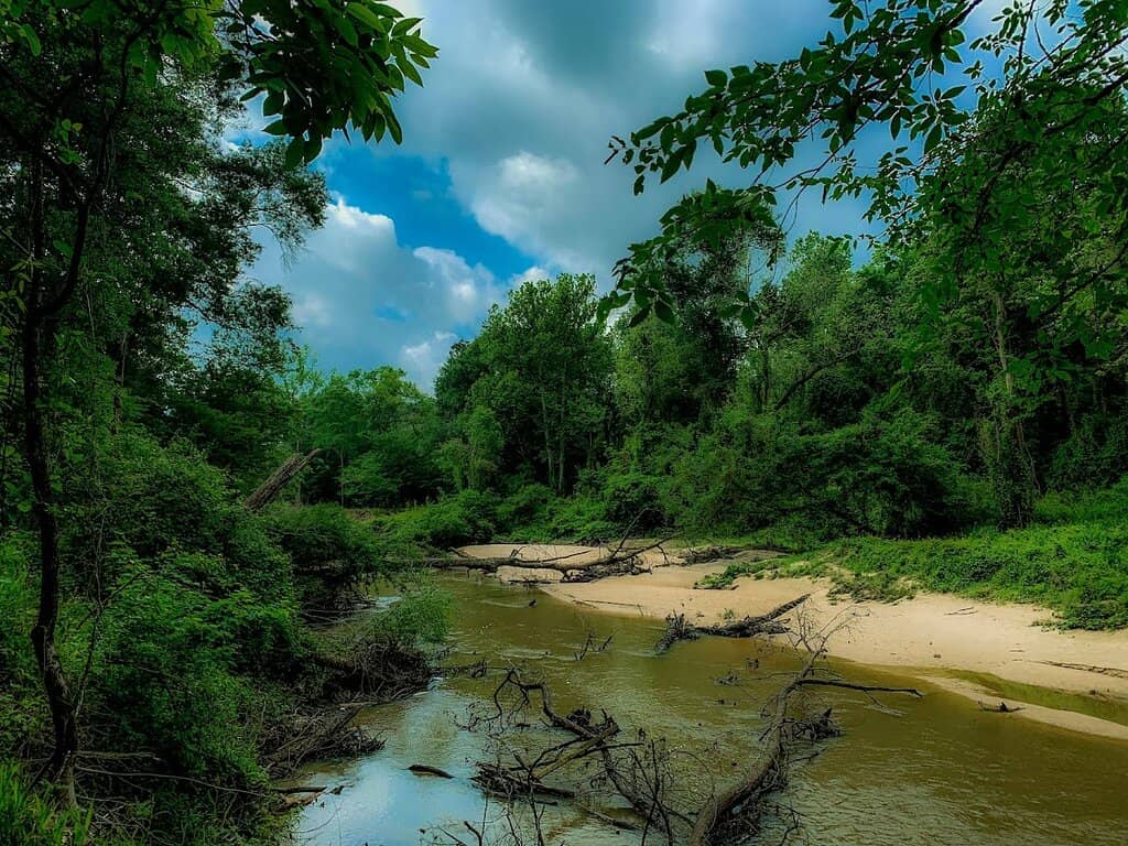 Diverse Trail Network