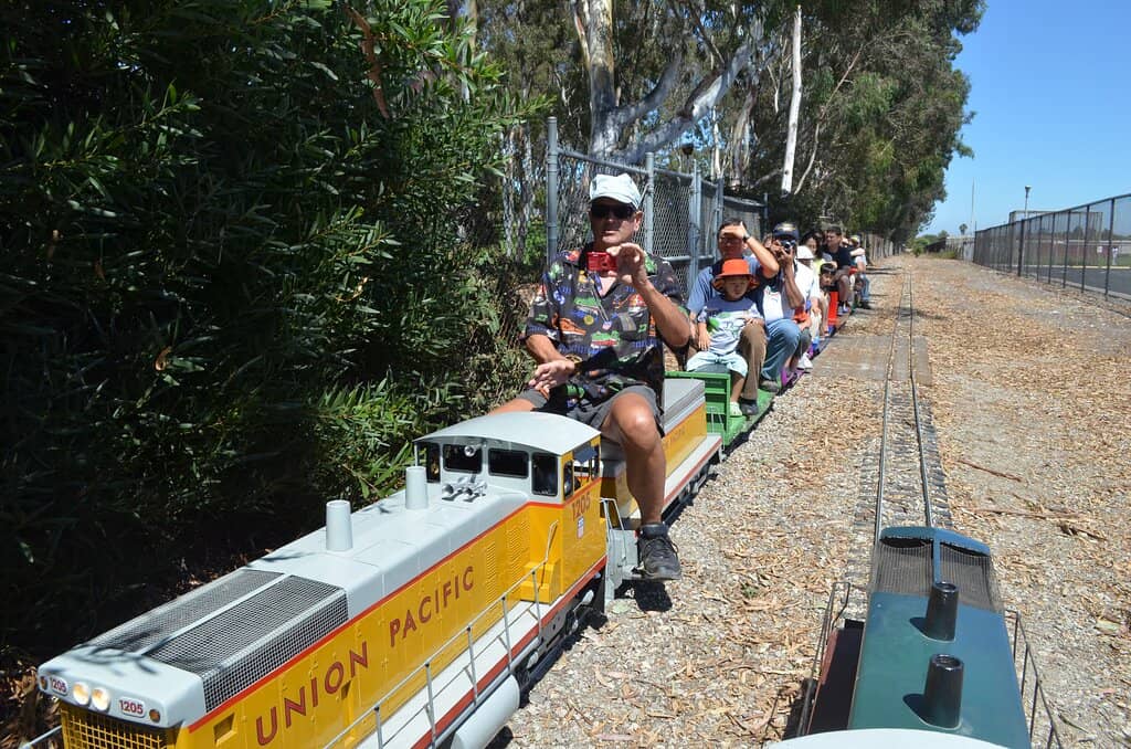 Winding Zigzag Trails