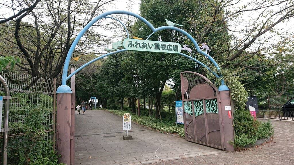 Adventure Playground