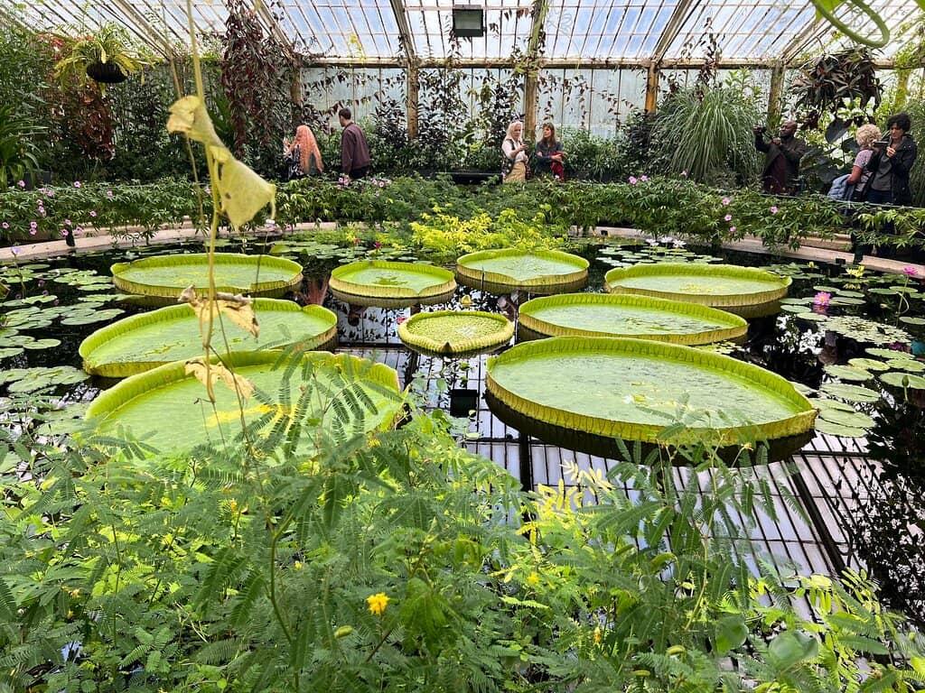 Mirror-Like Pool
