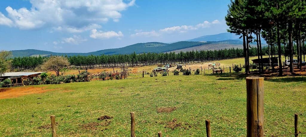 Panoramic Countryside Views